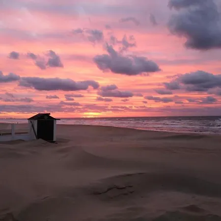 In Near The Sea, Cleaning Included Apartment