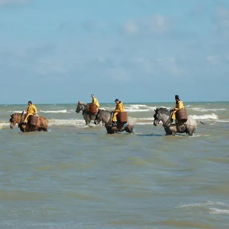 In Near The Sea, Cleaning Included *