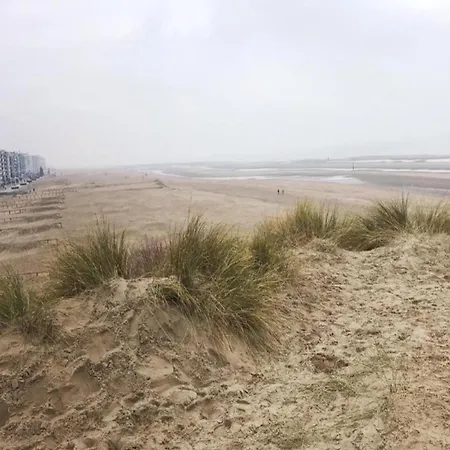 In Near The Sea, Cleaning Included *