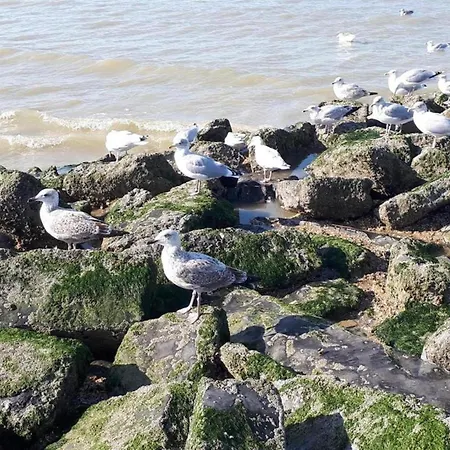 In Near The Sea, Cleaning Included Apartment
